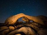 Joshua Tree 022